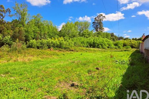 Helårsgrund i Ovar, Aveiro, Ovar - € 75.000 | Ref: 882981 - foto 1