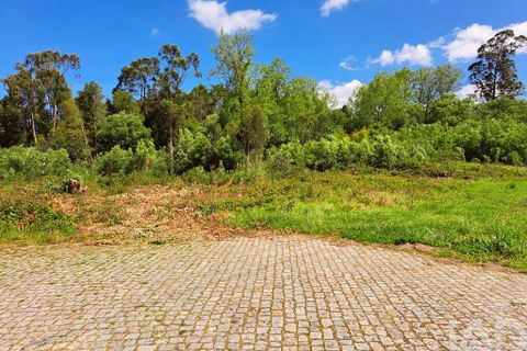 Helårsgrund i Ovar, Aveiro, Ovar - € 75.000 | Ref: 882981 - foto 3