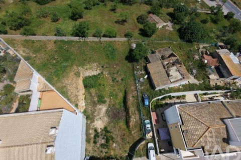 Terra a Lagoa, Faro, Lagoa - € 379.000 | Ref: 882531 - foto 2