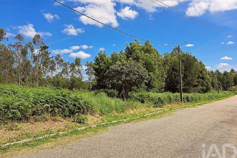 Helårsgrund i Ovar, Aveiro, Ovar - € 220.000 | Ref: 881822 - foto 1