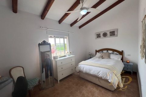 Farm i Dolores, Alicante, Dolores - € 445.000 | Ref: MLSC5904516 - foto 21