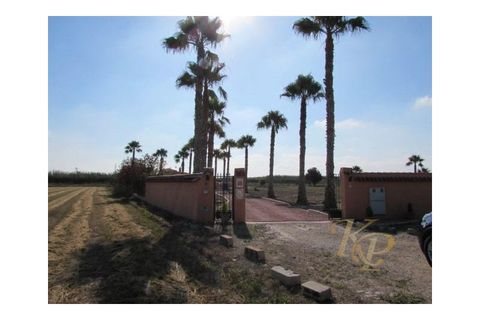 Farm i Dolores, Alicante, Dolores - € 445.000 | Ref: MLSC5904516 - foto 22