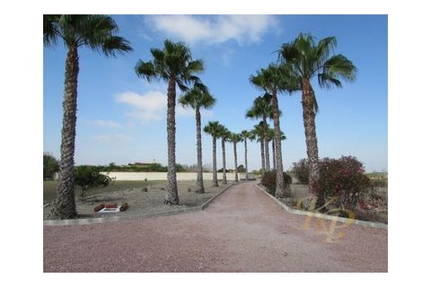 Farm i Dolores, Alicante, Dolores - € 445.000 | Ref: MLSC5904516 - foto 23