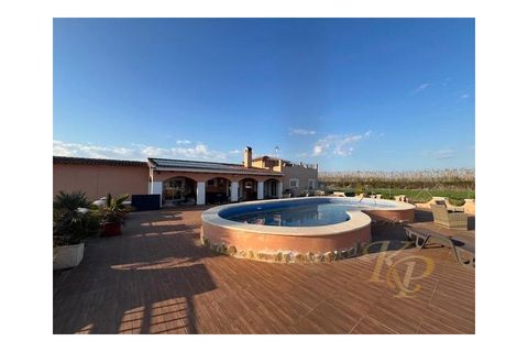 Farm i Dolores, Alicante, Dolores - € 445.000 | Ref: MLSC5904516 - foto 32