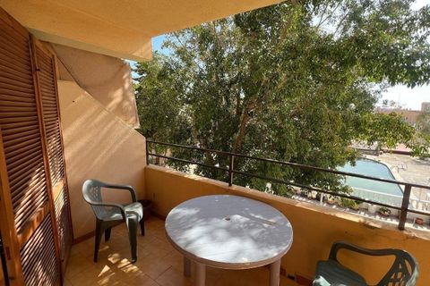 Leilighet i Torrevieja, Alicante, Torrevieja - € 83 900 | Ref: AG19MLSC9100244 - foto 18