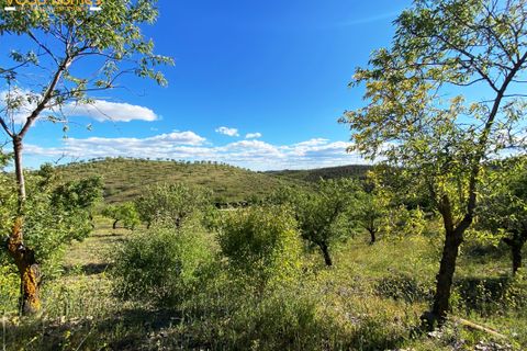 Landejendom i Velez-Rubio, Almeria, Velez-Rubio - € 55.000 | Ref: VH2738 - foto 6
