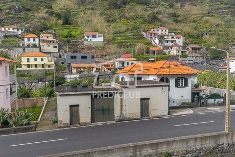 Villa i Ribeira Brava, Madeira, Ribeira Brava - € 255.000 | Ref: 11847-VG - foto 6