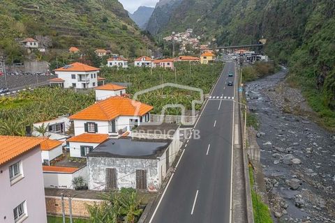 Villa i Ribeira Brava, Madeira, Ribeira Brava - € 255.000 | Ref: 11847-VG - foto 7