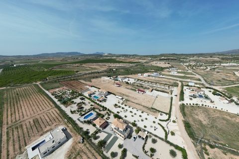 Villa a Pinoso, Alicante, Pinoso - € 649.950 | Ref: HVH-PIN650 - foto 21