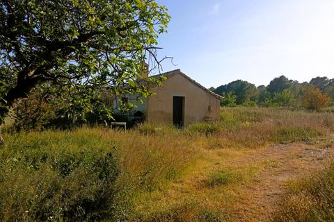 Ruinere i Salinas, Alicante, Salinas - € 450.000 | Ref: P5434 - foto 7