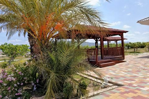 Villa i Pinoso, Alicante, Pinoso - € 595.000 | Ref: P5433 - foto 13