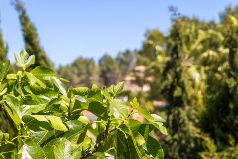 Villa en Javea, Alicante, Javea - € 525.000 | Ref: 1001 - photo 6
