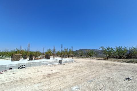 Villa i Pinoso, Alicante, Pinoso - € 425.000 | Ref: AM-LCYROD - foto 7