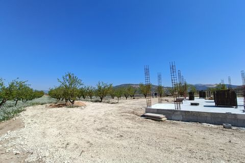 Villa i Pinoso, Alicante, Pinoso - € 425.000 | Ref: AM-LCYROD - foto 9