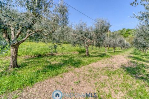 Villa a Monselice, Padua, Monselice - € 208.000 | Ref: MLS2150-1160 - foto 14