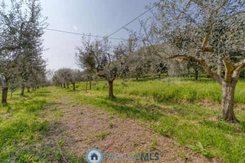 Villa a Monselice, Padua, Monselice - € 208.000 | Ref: MLS2150-1160 - foto 15