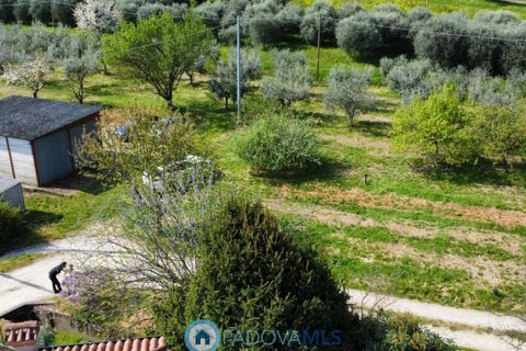 Villa a Monselice, Padua, Monselice - € 208.000 | Ref: MLS2150-1160 - foto 31