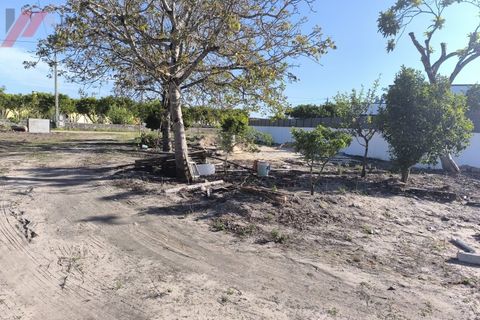 Villa i Cantanhede, Coimbra, Cantanhede - € 487.000 | Ref: HAB_258 - foto 6