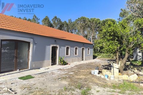 Villa i Cantanhede, Coimbra, Cantanhede - € 487.000 | Ref: HAB_258 - foto 38