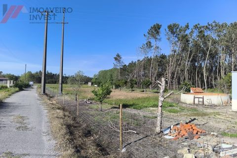 Villa i Cantanhede, Coimbra, Cantanhede - € 487.000 | Ref: HAB_258 - foto 39