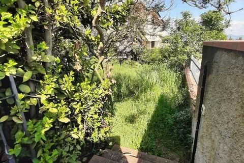 Villa a Guardistallo, Pisa, Guardistallo - € 289.000 | Ref: CV-PA114 - foto 5