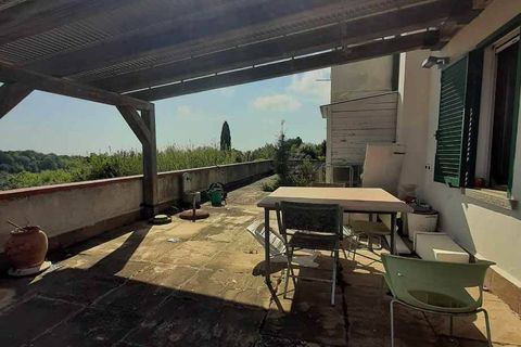 Villa a Guardistallo, Pisa, Guardistallo - € 289.000 | Ref: CV-PA114 - foto 9
