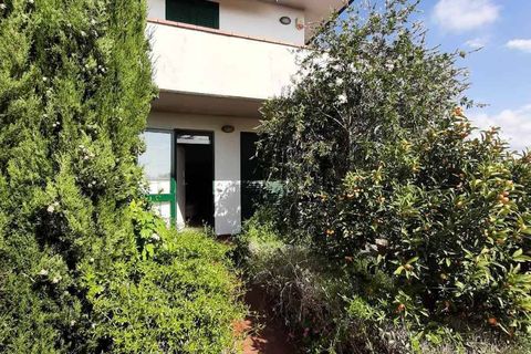 Villa a Guardistallo, Pisa, Guardistallo - € 289.000 | Ref: CV-PA114 - foto 19
