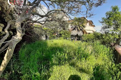 Villa a Guardistallo, Pisa, Guardistallo - € 289.000 | Ref: CV-PA114 - foto 24