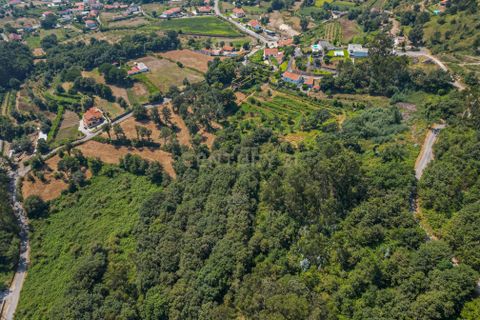 Villa i Ponte de Lima, Viana do Castelo, Ponte de Lima - € 160.000 | Ref: C0256-03466 - foto 13