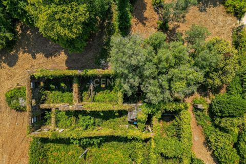 Villa i Ponte de Lima, Viana do Castelo, Ponte de Lima - € 160.000 | Ref: C0256-03466 - foto 18
