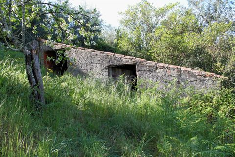 Villa a Proenca-a-Nova, Castelo Branco, Proenca-a-Nova - € 260.000 | Ref: 102260076 - foto 15