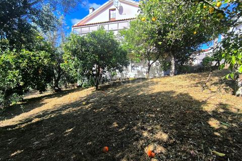 Villa a Proenca-a-Nova, Castelo Branco, Proenca-a-Nova - € 260.000 | Ref: 102260076 - foto 17