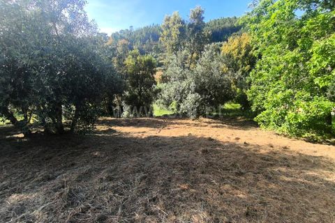 Villa a Proenca-a-Nova, Castelo Branco, Proenca-a-Nova - € 260.000 | Ref: 102260076 - foto 18