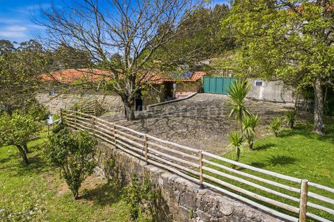 Villa i Ponte de Lima, Viana do Castelo, Ponte de Lima - € 335.000 | Ref: 254260742 - foto 29