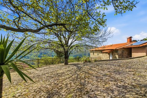 Villa i Ponte de Lima, Viana do Castelo, Ponte de Lima - € 335.000 | Ref: 254260742 - foto 35