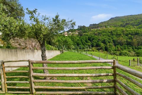 Villa i Ponte de Lima, Viana do Castelo, Ponte de Lima - € 335.000 | Ref: 254260742 - foto 36