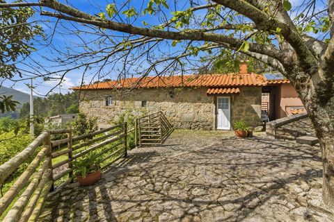 Villa i Ponte de Lima, Viana do Castelo, Ponte de Lima - € 335.000 | Ref: 254260742 - foto 38