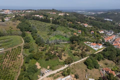 Helårsgrund i Alcobaca, Leiria, Alcobaca - € 550.000 | Ref: 1063 - foto 1