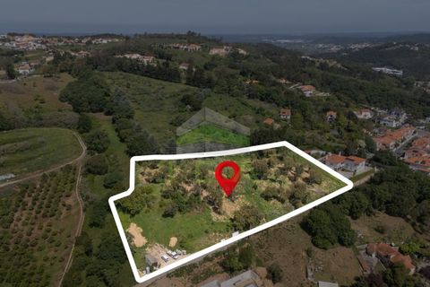 Helårsgrund i Alcobaca, Leiria, Alcobaca - € 550.000 | Ref: 1063 - foto 2