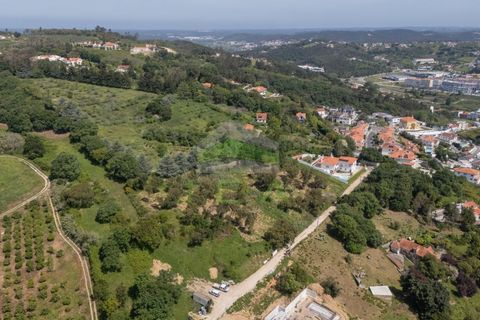 Helårsgrund i Alcobaca, Leiria, Alcobaca - € 550.000 | Ref: 1063 - foto 3