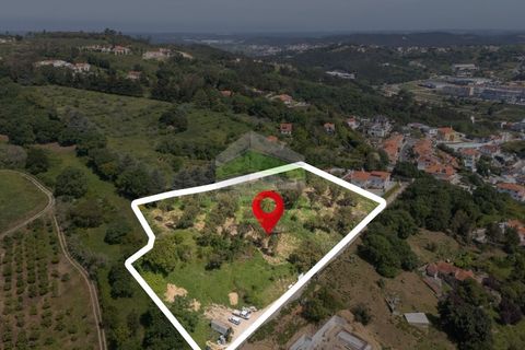Helårsgrund i Alcobaca, Leiria, Alcobaca - € 550.000 | Ref: 1063 - foto 4