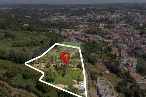 Helårsgrund i Alcobaca, Leiria, Alcobaca - € 550.000 | Ref: 1063 - foto 6