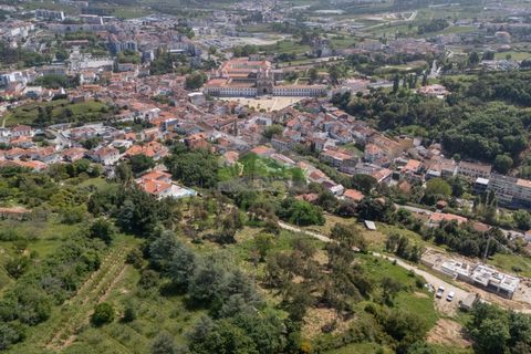 Helårsgrund i Alcobaca, Leiria, Alcobaca - € 550.000 | Ref: 1063 - foto 11