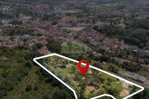 Helårsgrund i Alcobaca, Leiria, Alcobaca - € 550.000 | Ref: 1063 - foto 12