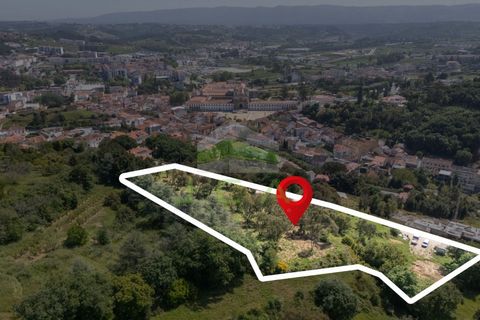 Helårsgrund i Alcobaca, Leiria, Alcobaca - € 550.000 | Ref: 1063 - foto 14