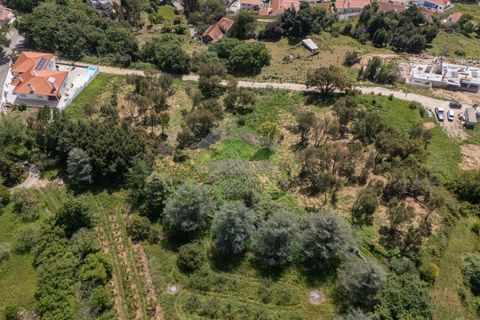 Helårsgrund i Alcobaca, Leiria, Alcobaca - € 550.000 | Ref: 1063 - foto 17