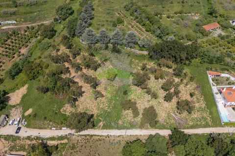 Helårsgrund i Alcobaca, Leiria, Alcobaca - € 550.000 | Ref: 1063 - foto 19