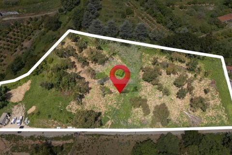 Helårsgrund i Alcobaca, Leiria, Alcobaca - € 550.000 | Ref: 1063 - foto 20