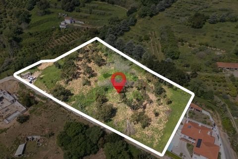 Helårsgrund i Alcobaca, Leiria, Alcobaca - € 550.000 | Ref: 1063 - foto 22