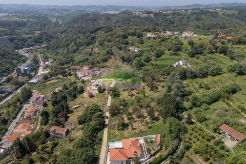 Helårsgrund i Alcobaca, Leiria, Alcobaca - € 550.000 | Ref: 1063 - foto 23